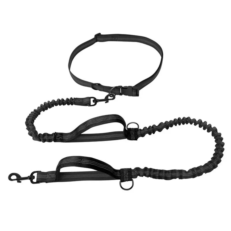 Black hands-free dog leash set with adjustable waist belt and dual bungee leashes