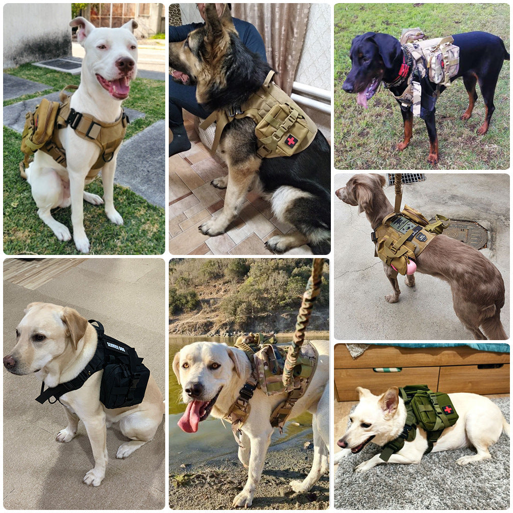 Large dogs wearing various tactical dog harnesses equipped with MOLLE pouches in different colors.