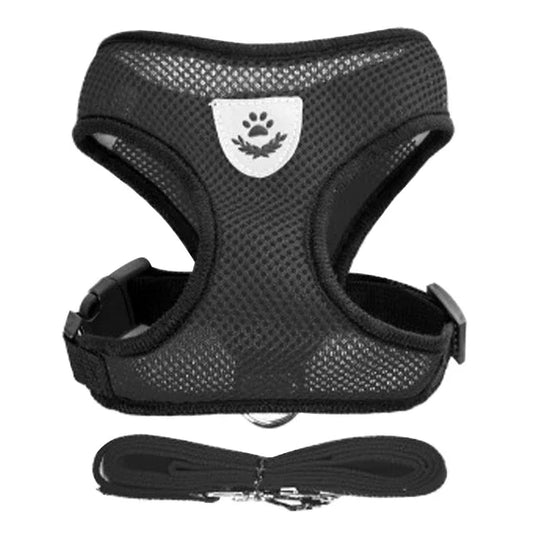 Black breathable mesh harness vest with matching nylon leash set for small dogs or cats, includes adjustable straps and metal D-ring.