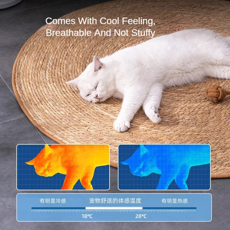 Cat resting on breathable woven rattan mat with thermal comfort visual overlay