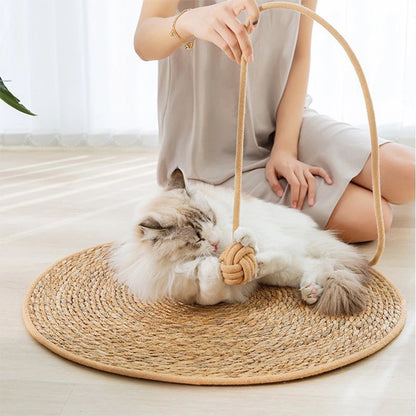 Fluffy cat engaging with rope toy on rattan scratcher mat during indoor play