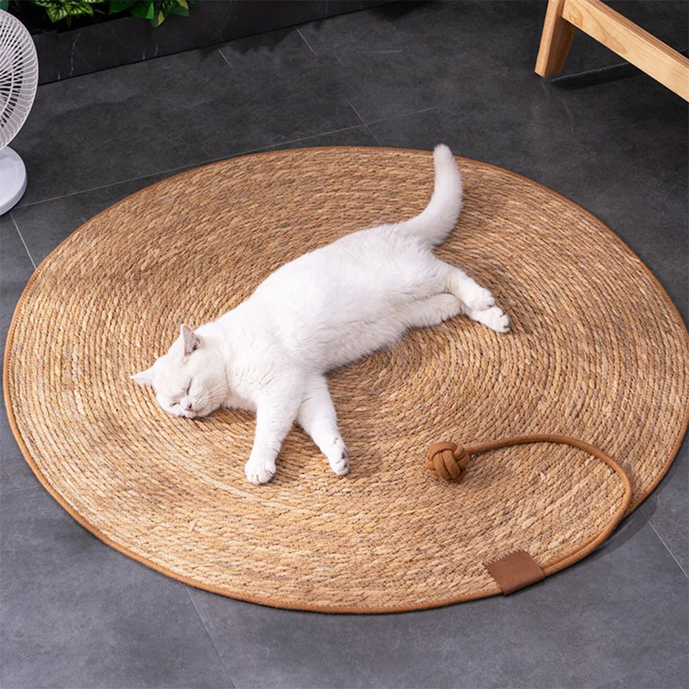 Durable hand-woven round rattan cat Cat sleeping on spacious natural rattan mat with knotted rope toy nearby