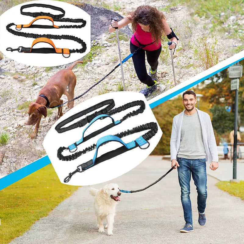 Outdoor dog walking and hiking with hands-free leash in blue and orange options