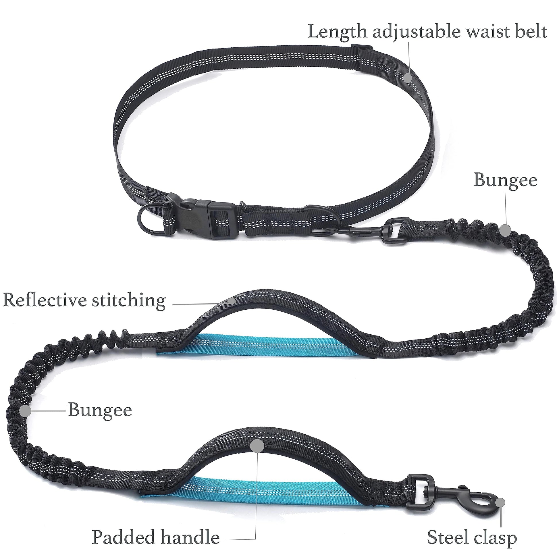 Labeled dog leash with reflective stitching, padded handles, and steel clasps