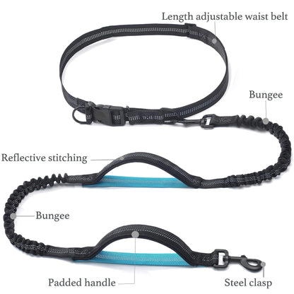 Labeled dog leash with reflective stitching, padded handles, and steel clasps