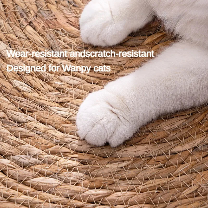 Close-up of cat paw on scratch-resistant rattan surface designed for frequent use