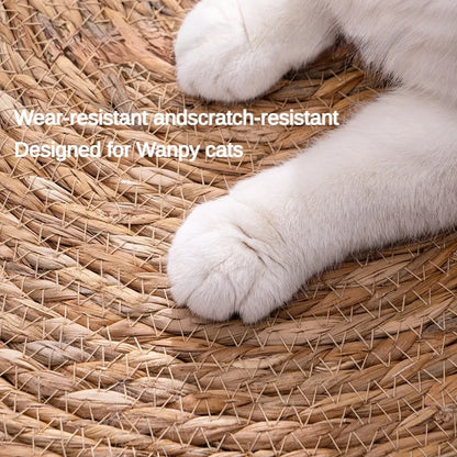Close-up of cat paw on scratch-resistant rattan surface designed for frequent use