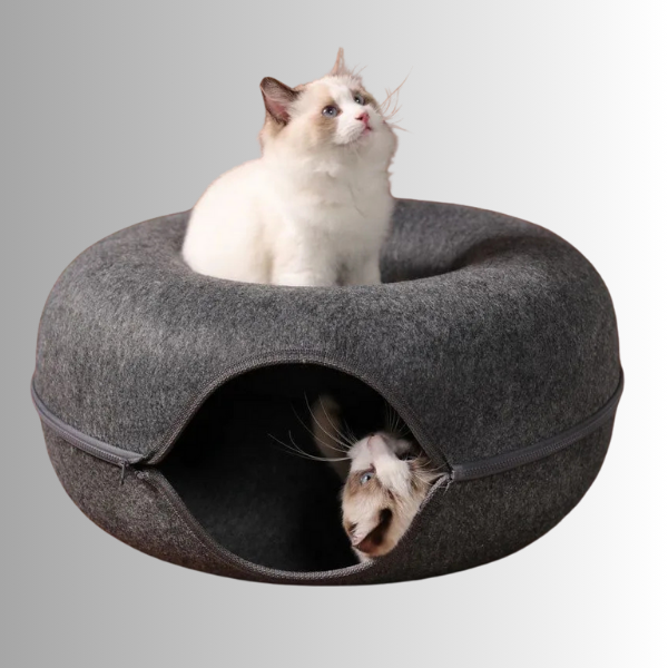 Two cats playing in Zokoria donut shaped tunnel interactive gray bed 