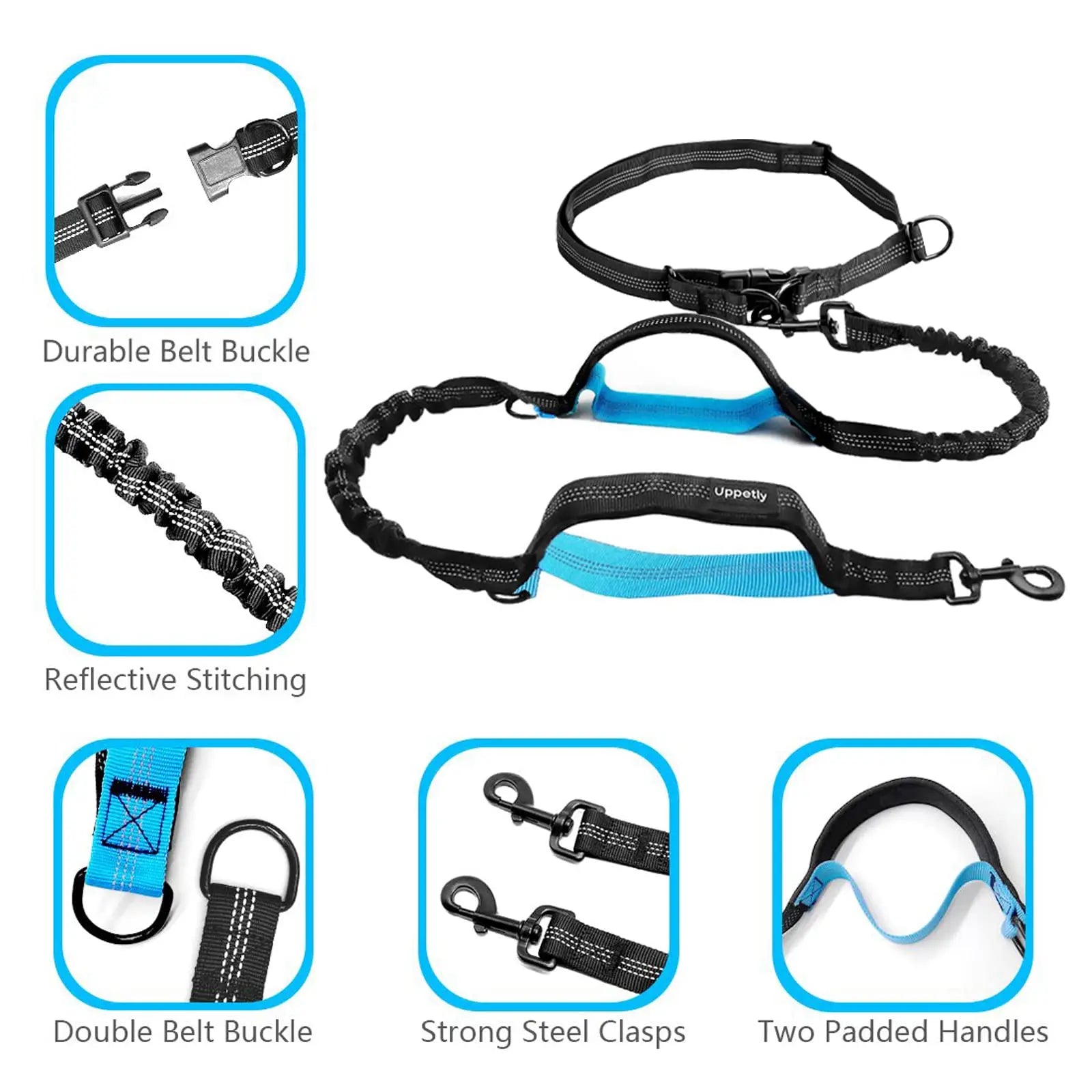 Dog leash kit with labeled features including reflective stitching and strong clasps