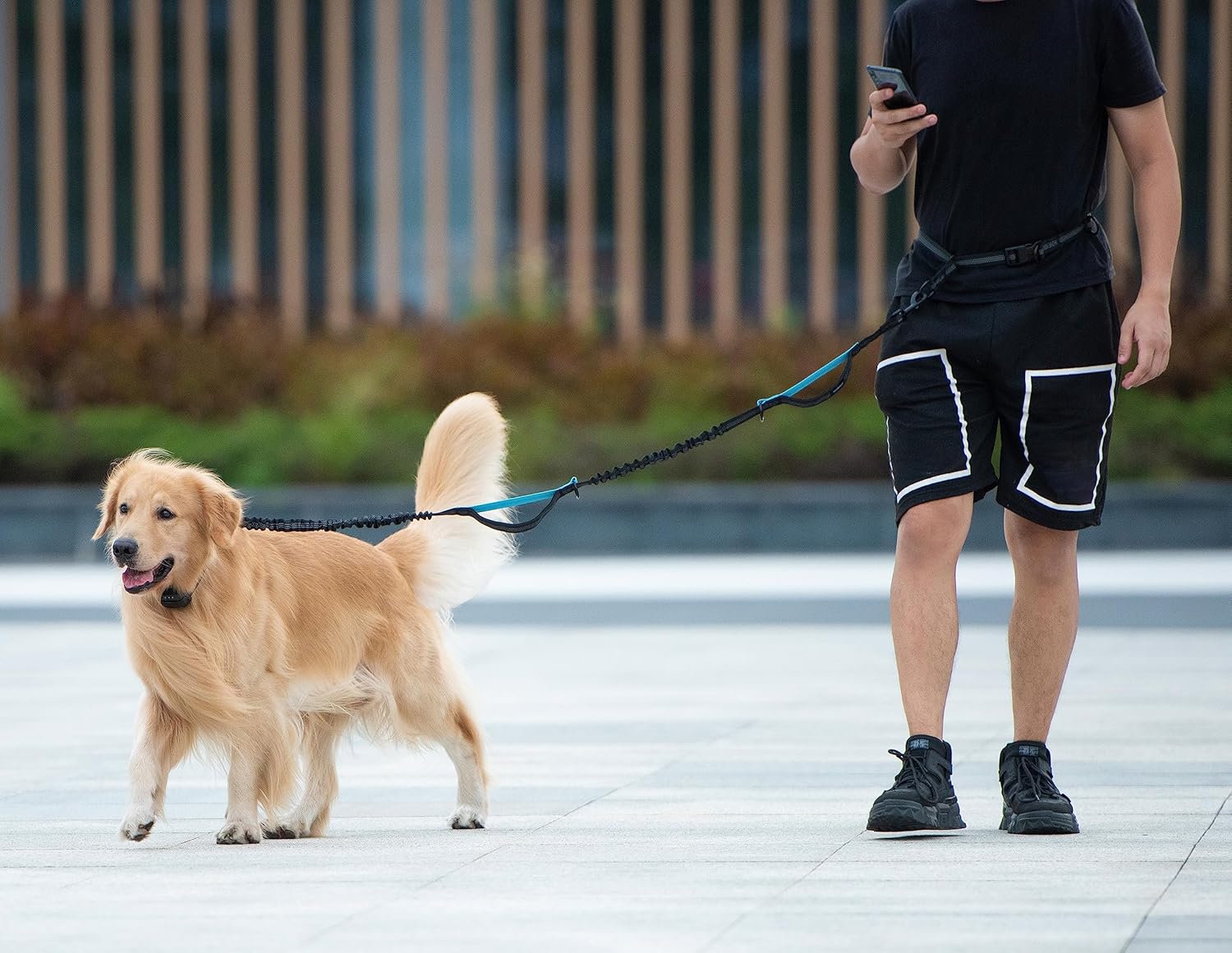 Man using his phone while walking with dog using the hands-free leash with waist attachment