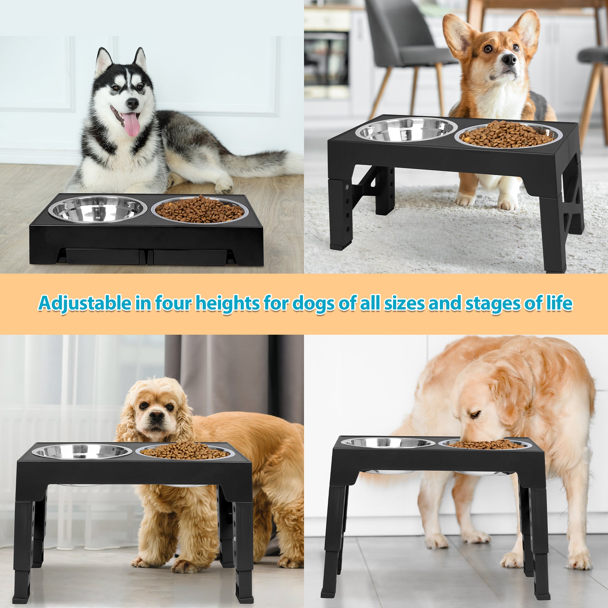 Four different dog breeds eating from the adjustable raised dog bowls at varying height settings, highlighting suitability for dogs of all sizes.