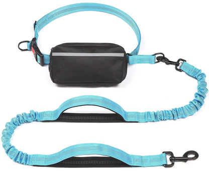 Sky blue hands-free dog leash with elastic bungee and waist attachment