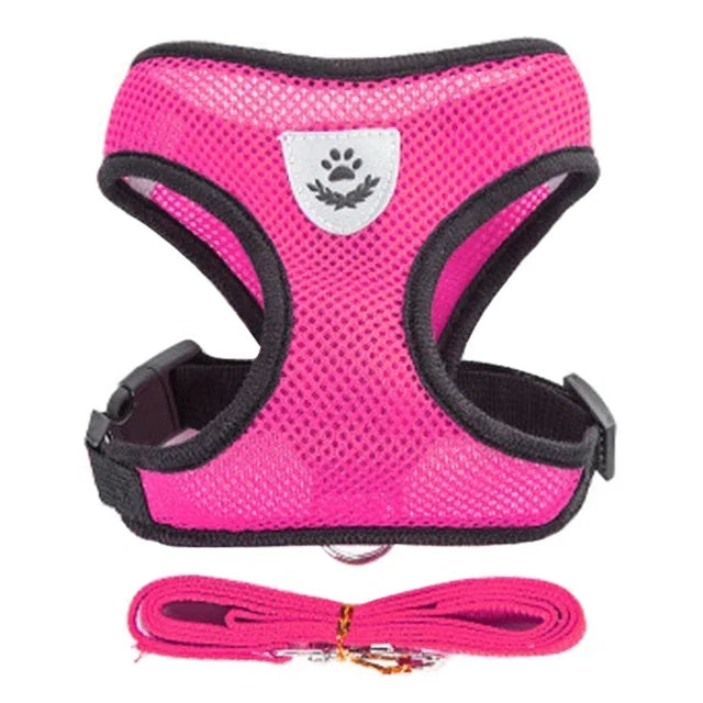 Hot pink breathable mesh harness vest with matching nylon leash set for small dogs or cats, includes adjustable straps and metal D-ring.