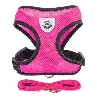 Hot pink breathable mesh harness vest with matching nylon leash set for small dogs or cats, includes adjustable straps and metal D-ring.