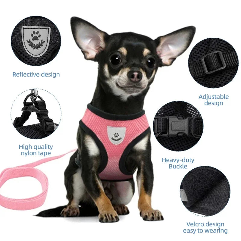 Small black Chihuahua wearing a pink pet harness vest with high-quality nylon leash, adjustable straps, and reflective chest patch, shown with feature callouts.