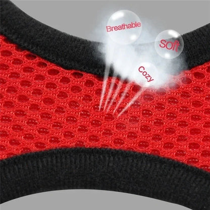Close-up of red pet harness mesh material with breathable, soft, and cozy text effects highlighting fabric quality.
