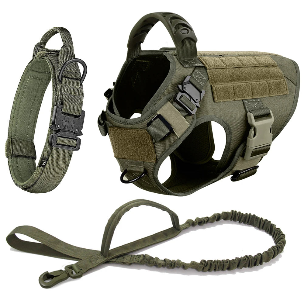 army green tactical dog collar, harness with molded handle and MOLLE panels, and matching bungee leash set
