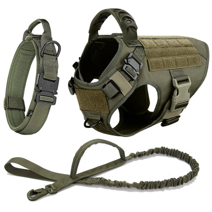 army green tactical dog collar, harness with molded handle and MOLLE panels, and matching bungee leash set