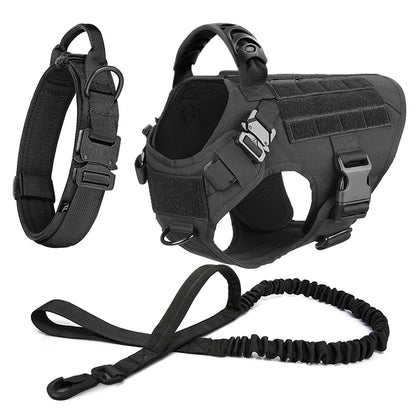 black tactical dog collar, harness with handle and MOLLE panels, plus matching bungee leash set