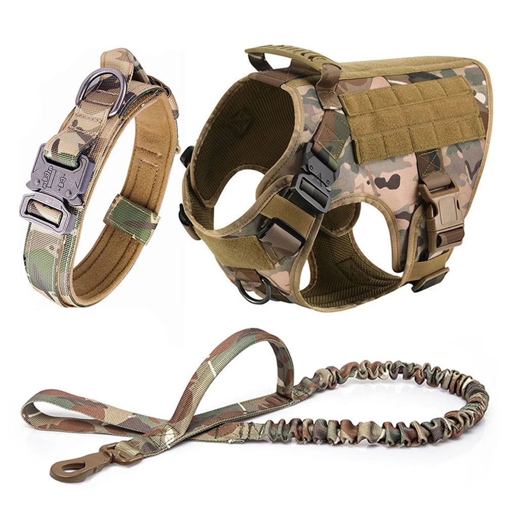 Camouflage Set