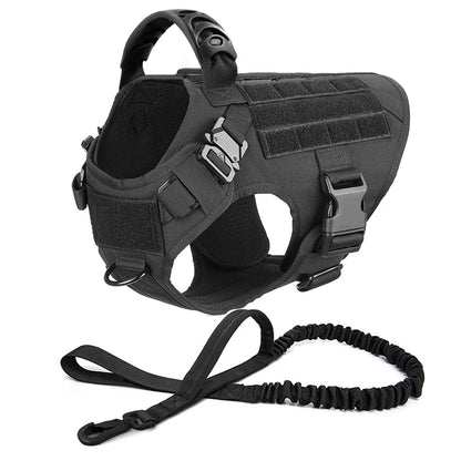 black tactical dog harness with molded handle, MOLLE panels, quick-release buckles, and matching bungee leash